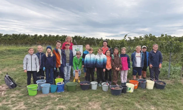 Erneutes Kinderwingert-Projekt im neuen Jahr