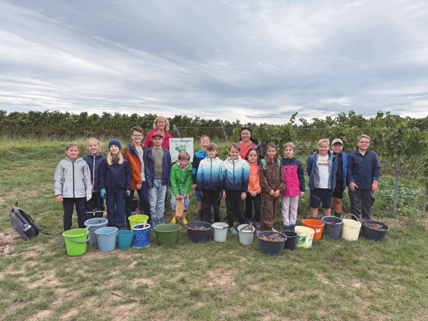 Erneutes Kinderwingert-Projekt im neuen Jahr