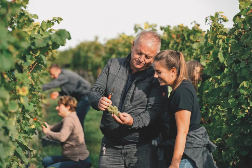 Weingut Kratz – Schönauer Hof, Osthofen
