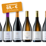 wm Weinpaket: Weingut Cisterzienser, Dittelsheim-Heßloch